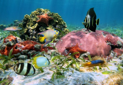 Lune de miel aux Bahamas