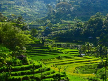 Lune de miel en Indonesie