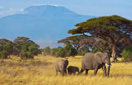 lune de miel Kenya