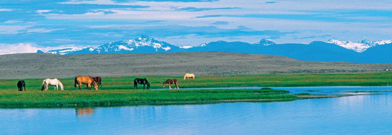 De feu de glace et Patagonie ARGENTINE