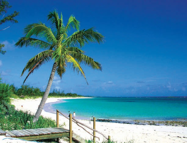 Pineapple Fields BAHAMAS